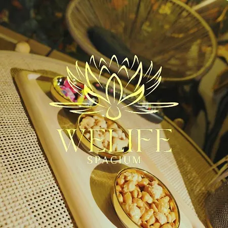 Welife Spacium Love hotel