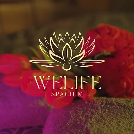 Welife Spacium Love hotel *